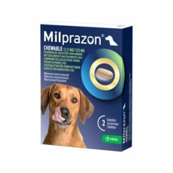 Milprazon Chewable Hund -Trixie Verkäufe 2024 milprazon chewable hond 206282 0500 none