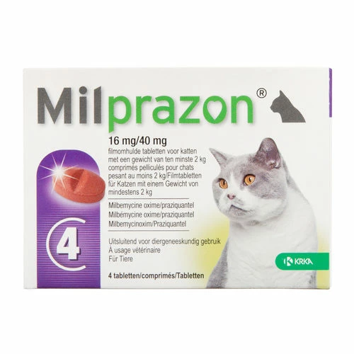 Milprazon Für Katzen 8 Milprazon Für Katzen – Bild 6