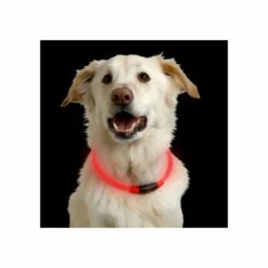 Nite Ize NiteHowl LED Safety Necklace -Trixie Verkäufe 2024 nite ize nitehowl led safety necklace 89526 0500 none