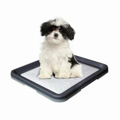Nobby Doggy Trainer & Pads 9 Nobby Doggy Trainer & Pads -Trixie Verkäufe 2024 nobby doggy trainer 130277 0500 none