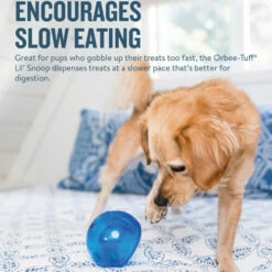 Planet Dog Orbee-Tuff Lil’ Snoop Toy 20 Planet Dog Orbee-Tuff Lil’ Snoop Toy -Trixie Verkäufe 2024 orbee tuff lil snoop toy 203405 0500 none