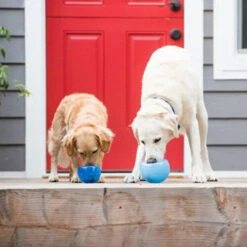 Planet Dog Orbee-Tuff Lil’ Snoop Toy 21 Planet Dog Orbee-Tuff Lil’ Snoop Toy -Trixie Verkäufe 2024 orbee tuff lil snoop toy 203408 0500 none