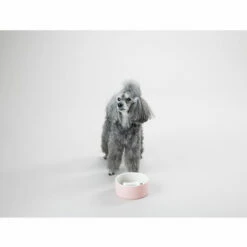 PAIKKA Slow Feed Bowl -Trixie Verkäufe 2024 paikka slow feed bowl 217878 0500 none