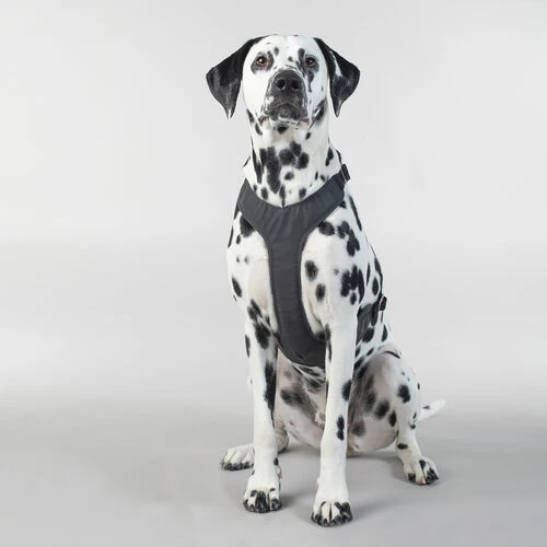 PAIKKA Visibility Harness 8 PAIKKA Visibility Harness – Bild 6