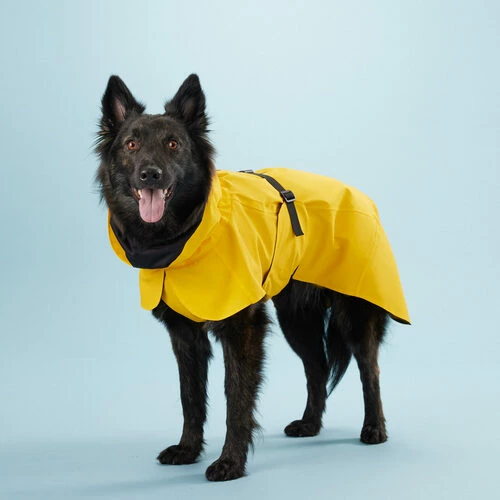 PAIKKA Visibility Raincoat Lite Yellow 4 PAIKKA Visibility Raincoat Lite Yellow – Bild 2