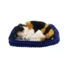 Perfect Petzzz Calico 2 Perfect Petzzz Calico -Trixie Verkäufe 2024 perfect petzzz calico 200327 0500 none