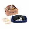 Perfect Petzzz Soft Schwarzweiße Katze 1 Perfect Petzzz Soft Schwarzweiße Katze -Trixie Verkäufe 2024 perfect petzzz soft zwart met witte kat 150796 0500 none