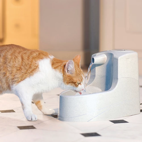 Petsafe Drinkwell Mini-Trinkbrunnen 4 Petsafe Drinkwell Mini-Trinkbrunnen – Bild 2