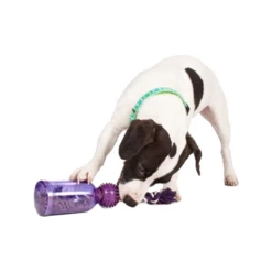 PetSafe Tug-a-Jug -Trixie Verkäufe 2024 petsafe tug a jug 216335 0500 none