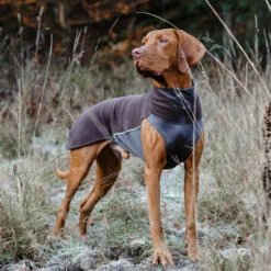 Pomppa Jumppa 14 Pomppa Jumppa -Trixie Verkäufe 2024 pomppa jumppa 190570 0500 none