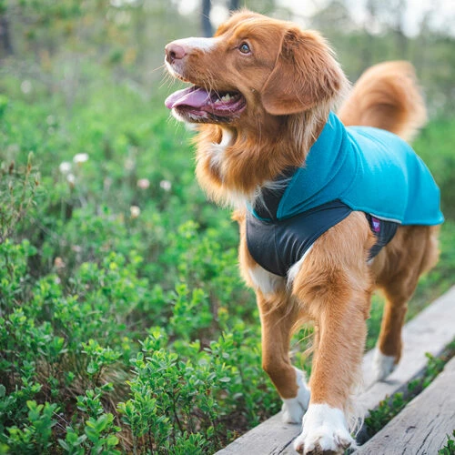 Pomppa Jumppa 9 Pomppa Jumppa – Bild 7