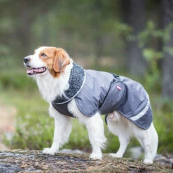 Pomppa Perus Hundejacke -Trixie Verkäufe 2024 pomppa perus hondenjas 215732 0500 none