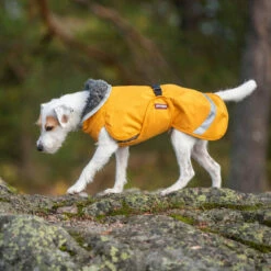 Pomppa Perus Hundejacke -Trixie Verkäufe 2024 pomppa perus hondenjas 215738 0500 none