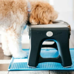 Popware Pet Bowl Grippmat -Trixie Verkäufe 2024 popware pet bowl grippmat 164719 0500 none