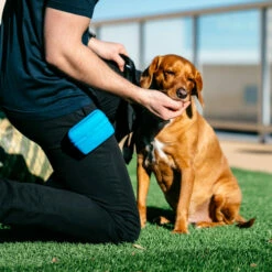 Popware Pooch Pouch Treatbag -Trixie Verkäufe 2024 popware pooch pouch treatbag 164698 0500 none