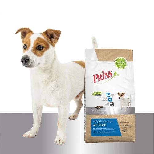 Prins ProCare Mini Super Active 4 Prins ProCare Mini Super Active – Bild 2