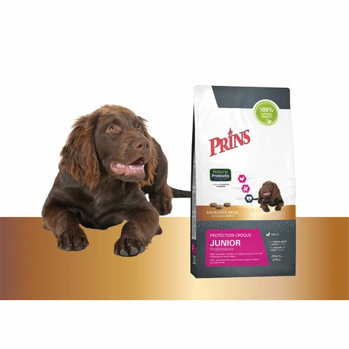 Prins Protection Croque Junior Performance 5 Prins Protection Croque Junior Performance – Bild 3
