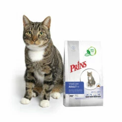 Prins VitalCare Cat Adult Fit -Trixie Verkäufe 2024 prins vitalcare cat adult fit 172291 0500 none