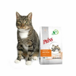Prins VitalCare Multicat -Trixie Verkäufe 2024 prins vitalcare multicat 172366 0500 none
