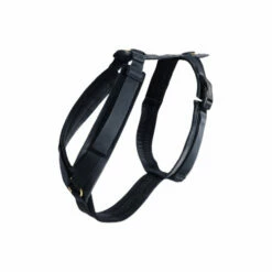 Kentucky Dog Harness Active Velvet 18 Kentucky Dog Harness Active Velvet -Trixie Verkäufe 2024 prod 15744 218993 0500 none