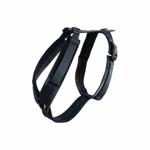 Kentucky Dog Harness Active Velvet 10 Kentucky Dog Harness Active Velvet – Bild 8