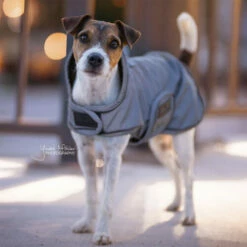 Kentucky Hundemantel Reflective & Waterrepellent 7 Kentucky Hundemantel Reflective & Waterrepellent -Trixie Verkäufe 2024 prod 15746 219014 0500 none