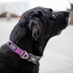 DOG Copenhagen Urban Style Halsband 22 DOG Copenhagen Urban Style Halsband -Trixie Verkäufe 2024 prod 15937 220286 0500 none