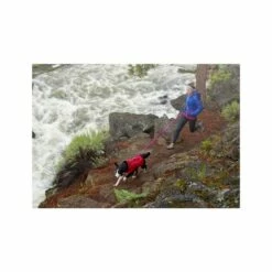 Ruffwear Roamer Leash - Blue Atoll -Trixie Verkäufe 2024 prod 5446 89541 0500 none