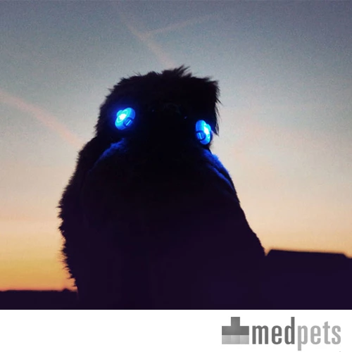 Curli Luumi 4 Curli Luumi – Bild 2