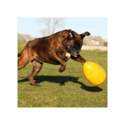 Jolly Egg 12 Jolly Egg -Trixie Verkäufe 2024 product jolly egg none 4 1496839893 86965