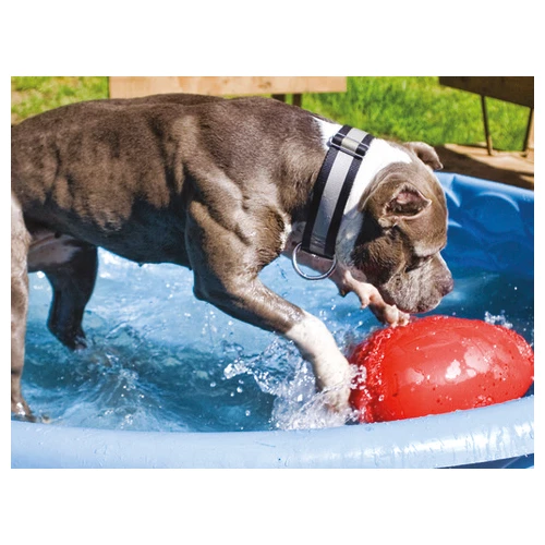 Jolly Egg 8 Jolly Egg – Bild 6