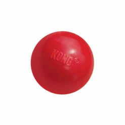 KONG Ball -Trixie Verkäufe 2024 product kong ball none 4 1466058813 69918