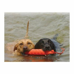 KONG Training Dummy 13 KONG Training Dummy -Trixie Verkäufe 2024 product kong training dummy none 4 1469627104 71971