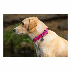 Ruffwear Headwater Collar 7 Ruffwear Headwater Collar -Trixie Verkäufe 2024 product ruffwear headwater collar none 4 1487775433 83755