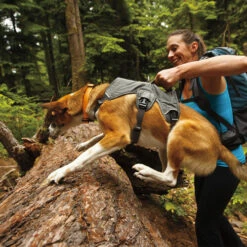 Ruffwear Webmaster Harness -Trixie Verkäufe 2024 product ruffwear webmaster harness none 4 1471947180 76768