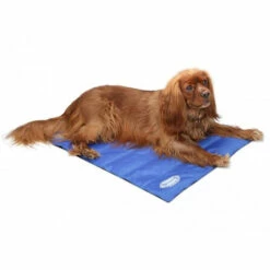 Scruffs Cooling Mat -Trixie Verkäufe 2024 product scruffs cooling mat none 4 1472200005 76954
