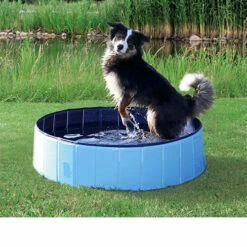 Trixie Hundepool -Trixie Verkäufe 2024 product trixie dog pool none 4 1495792779 86689