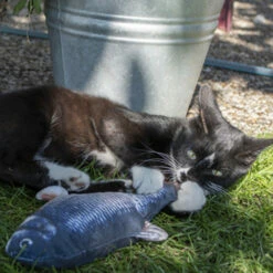 Robocat Lachs -Trixie Verkäufe 2024 robocat zalm 168219 0500 none