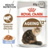 Royal Canin Ageing 12+ In Jelly - Katzenfutter 2 Royal Canin Ageing 12+ In Jelly - Katzenfutter -Trixie Verkäufe 2024 royal canin ageing 12 in jelly kattenvoer 127754 0500 none