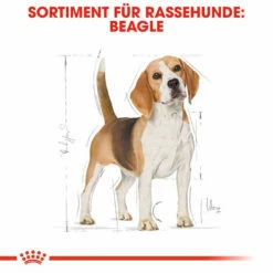 Royal Canin Beagle Adult - Hundefutter -Trixie Verkäufe 2024 royal canin beagle adult hondenvoer 137293 0500 none