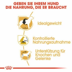 Royal Canin Beagle Adult - Hundefutter -Trixie Verkäufe 2024 royal canin beagle adult hondenvoer 137308 0500 none