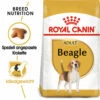 Royal Canin Beagle Adult - Hundefutter -Trixie Verkäufe 2024 royal canin beagle adult hondenvoer 137341 0500 none