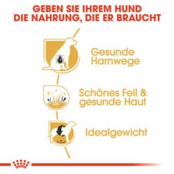 Royal Canin Bichon Frisé Adult - Hundefutter -Trixie Verkäufe 2024 royal canin bichon fris adult hondenvoer 137371 0500 none