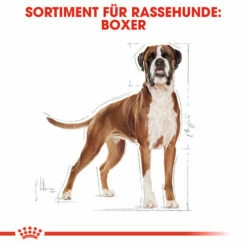 Royal Canin Boxer Adult - Hundefutter -Trixie Verkäufe 2024 royal canin boxer adult hondenvoer 137410 0500 none