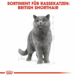 Royal Canin British Shorthair Adult - Katzenfutter -Trixie Verkäufe 2024 royal canin british shorthair adult kattenvoer 137524 0500 none