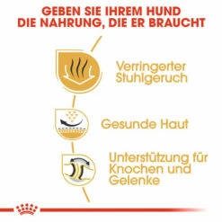 Royal Canin Bulldog Adult - Hundefutter 11 Royal Canin Bulldog Adult - Hundefutter -Trixie Verkäufe 2024 royal canin bulldog adult hondenvoer 137659 0500 none