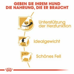 Royal Canin Cavalier King Charles Adult - Hundefutter -Trixie Verkäufe 2024 royal canin cavalier king charles adult hondenvoer 137869 0500 none