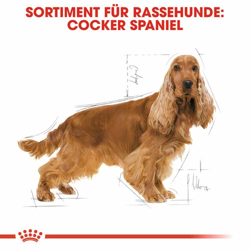 Royal Canin Cocker Adult - Hundefutter 7 Royal Canin Cocker Adult - Hundefutter – Bild 5