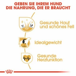 Royal Canin Cocker Adult - Hundefutter 11 Royal Canin Cocker Adult - Hundefutter -Trixie Verkäufe 2024 royal canin cocker adult hondenvoer 138163 0500 none