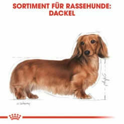 Royal Canin Dachshund Adult Wet - Hundefutter 12 Royal Canin Dachshund Adult Wet - Hundefutter -Trixie Verkäufe 2024 royal canin dachshund adult wet hondenvoer 138379 0500 none